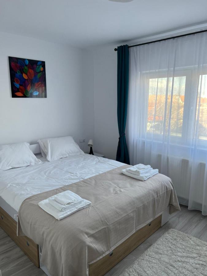 Cozy Residence Sibiu Luaran gambar