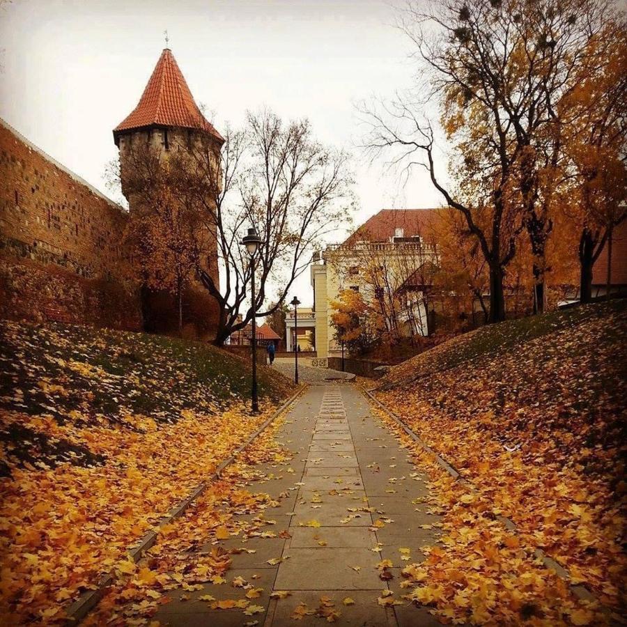 Cozy Residence Sibiu Luaran gambar